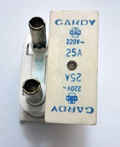 Fusible porcelaine céramique 20A 25A à broches 30mm/8mm – Image 10